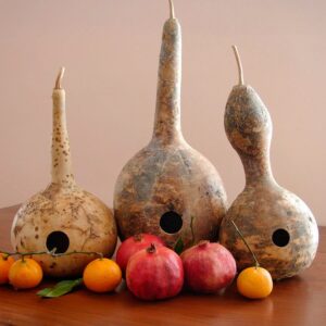 Birdhouse Gourd Seeds
