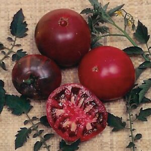 Black Krim Tomato Seeds - Organic