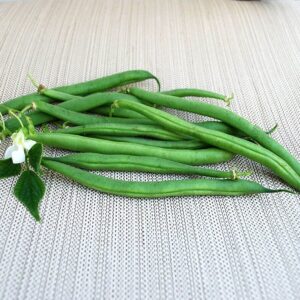 Derby Organic Garden Bean Seeds