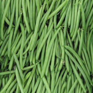 Endeavour Garden Bean Seeds