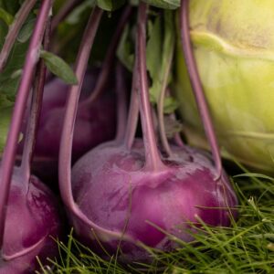 Konstance Hybrid Kohlrabi Seeds
