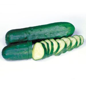 Marketmore Select Organic Cucumber Seeds