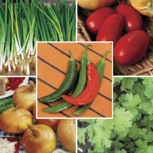 Park Seed Salsa Vegetable Seed Collection