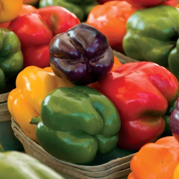 Park Seed Sweet Rainbow Mix Pepper Seeds