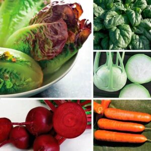 Park's Cool Season Vegetable Seed Collection