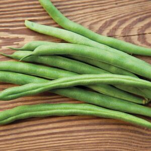 Park's Whopper Garden Bean Seeds
