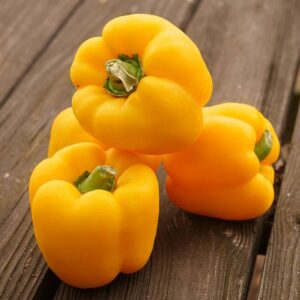 Park's Whopper Hybrid Yellow Bell Pepper Seeds