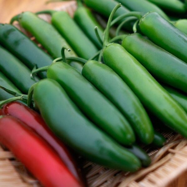 Pathfinder Serrano Pepper Seeds