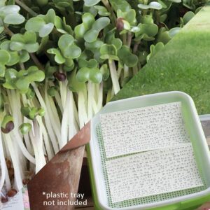 Sow Effortless Collection™ Organic Broccoli Microgreen Seed Mats Set of 2