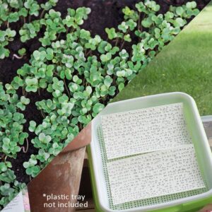 Sow Effortless Collection™ Organic Kale Tuscany Black Microgreen Seed Mats Set of 2