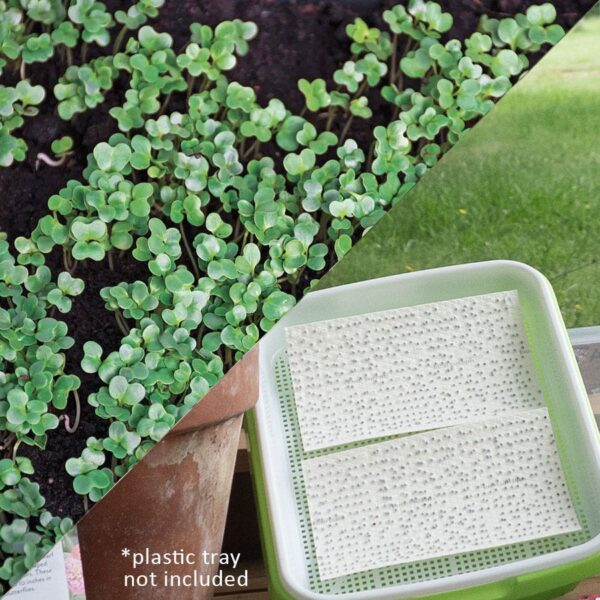 Sow Effortless Collection™ Organic Kale Tuscany Black Microgreen Seed Mats Set of 2