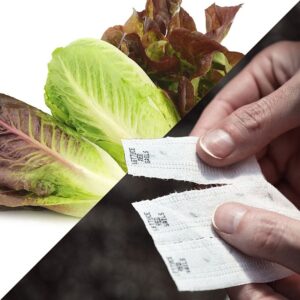 Sow Effortless Collection™ Organic Tricolor Romaine Blend Seed Tape