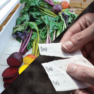 Sow Effortless Collection™ Rainbow Mix Beet Seed Tape