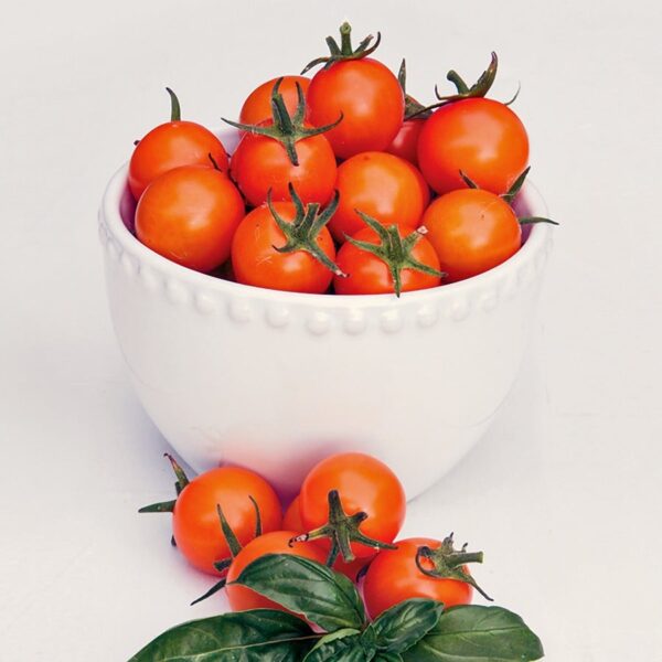 Sun Gold Tomato Seeds - Hybrid