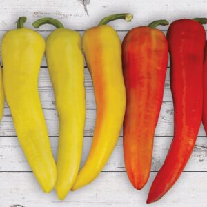 Sweet Sunset Hybrid Pepper Seeds
