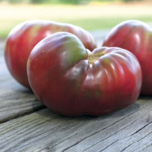 Tomato Cherokee Purple - Organic Seeds
